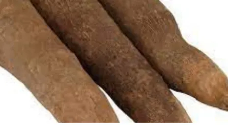Yam