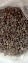 UZIZA SEED