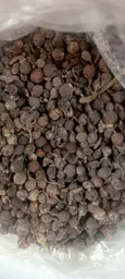 UZIZA SEED