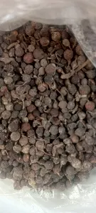 UZIZA SEED