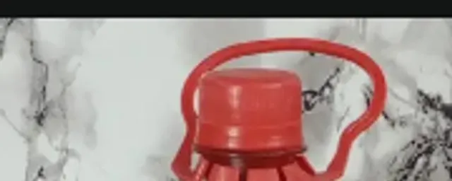 BANGA PALM OIL