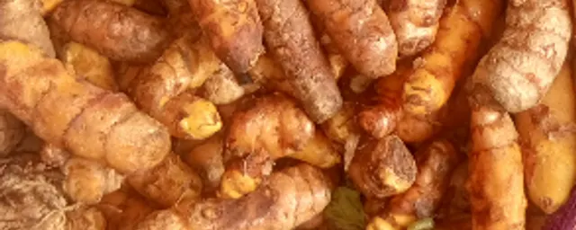 TUMERIC