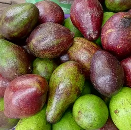 AVOCADO