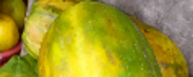 Pawpaw