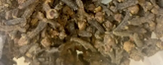CLOVES