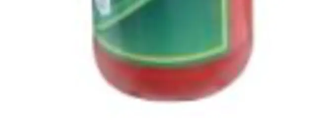 Frolic ketchup
