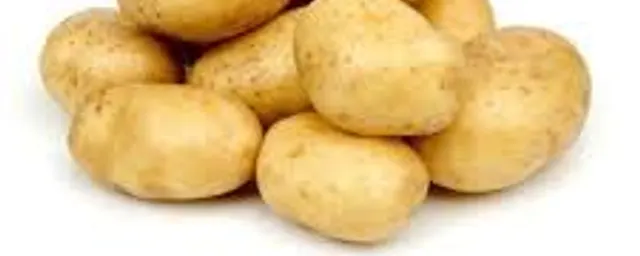 Irish potato