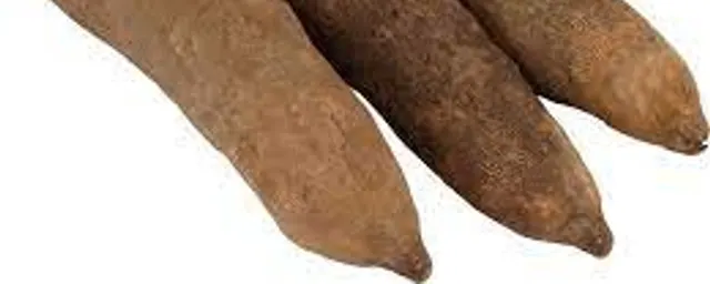 Yam