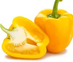 Yellow Pepper