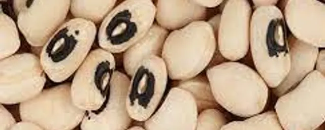Sokoto beans
