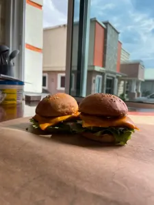 Sliders
