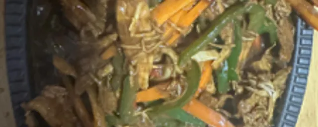 shredded chicken