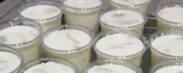 yoghurt