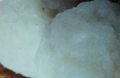 tuwon shinkafa