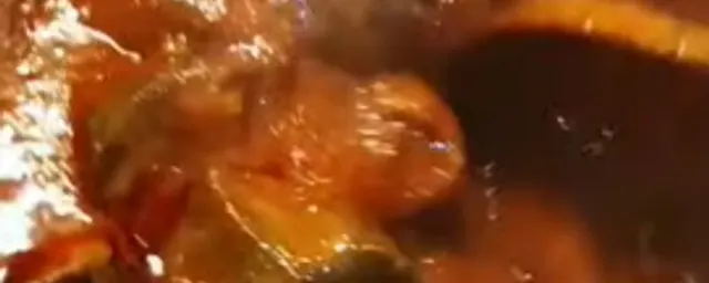 intestine