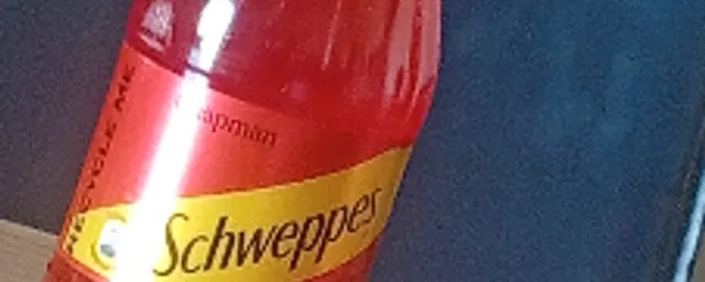 schwebs