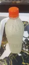 Dabino milk