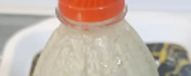 Dabino milk