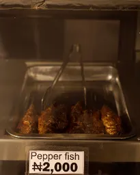 Fish