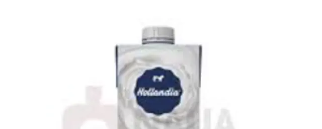Big Hollandia Yoghurt