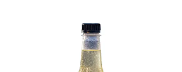 Schwepps Virgin Mojito 40cl