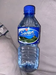 Swan water