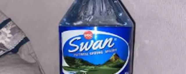 Swan water