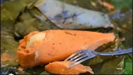 Moi-Moi