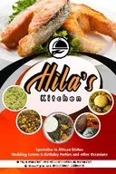 Hila excellent global concept logo