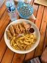fries and tenders