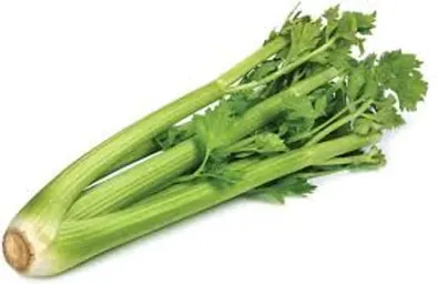 Celery (1 Bunch)