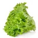 Lettuce (1 Kg)