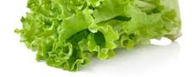 Lettuce (1 Kg)