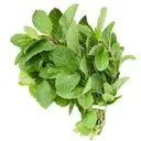 Mint leaves (per bunch)(per bunch) (per bunch)