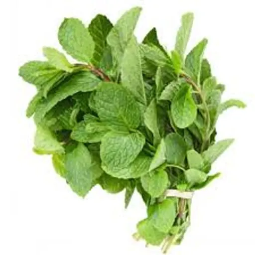 Mint leaves (per bunch)(per bunch) (per bunch)