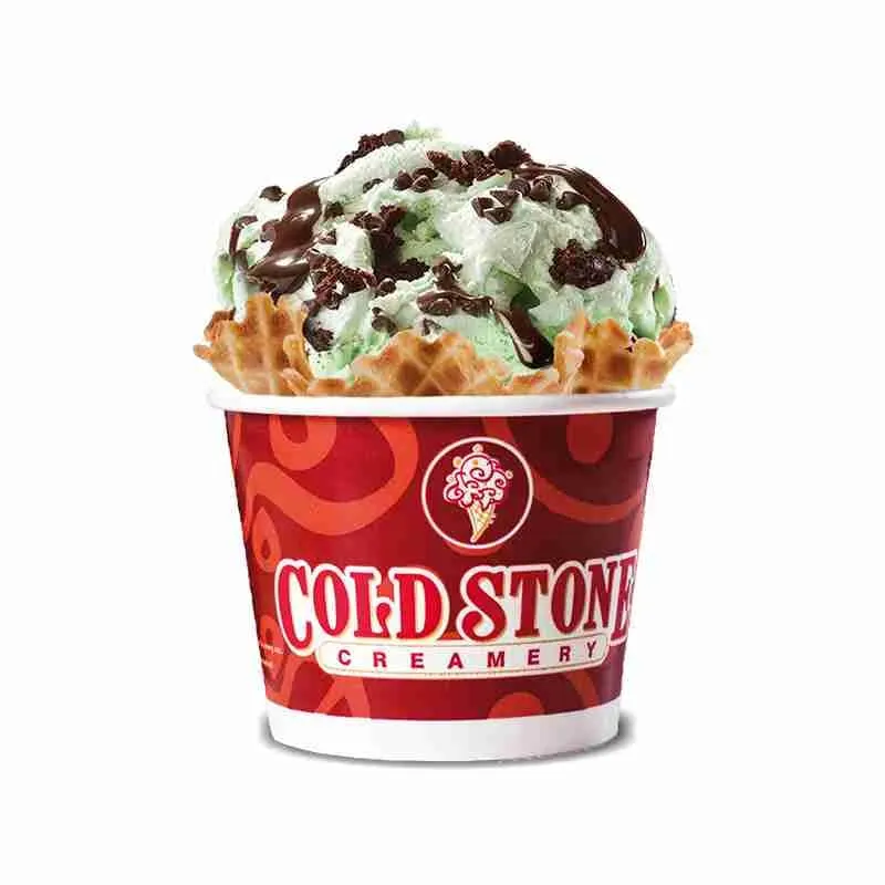 Mint Mint Chocolate Chocolate Chip®