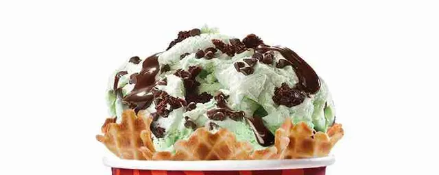 Mint Mint Chocolate Chocolate Chip®