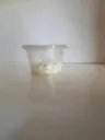 Mozzarella Cheese