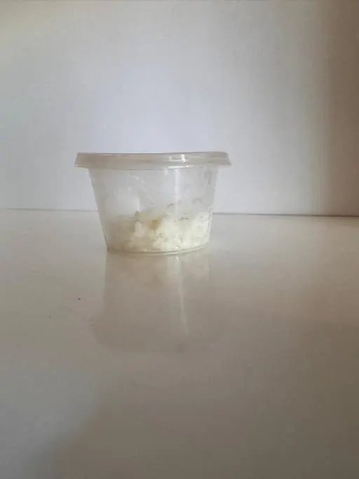 Mozzarella Cheese