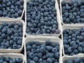 Mulberries (1Kg)