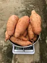 Orange Sweet Potatoes (1kg)