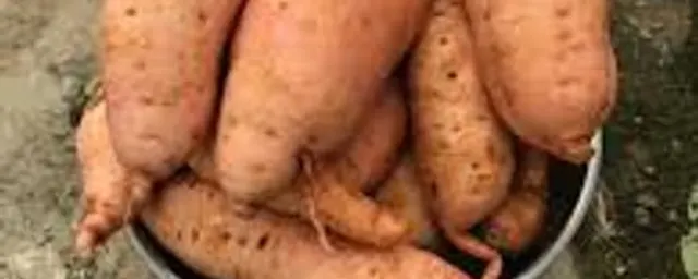 Orange Sweet Potatoes (1kg)