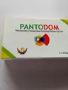 Pantodom