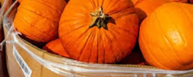 Pumpkin (per head)