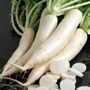 Radish (1 Bunch)