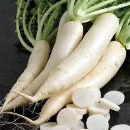 Radish (1 Bunch)