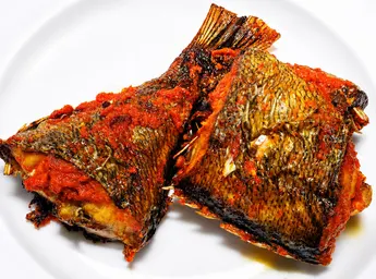 Rock Fish