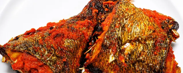 Rock Fish