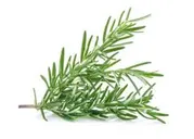 Rosemary leaves (per bunch)
