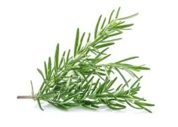 Rosemary leaves (per bunch)